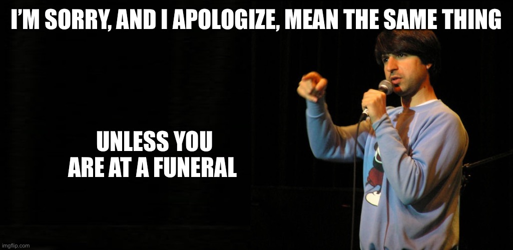 DEMETRI MARTIN | I’M SORRY, AND I APOLOGIZE, MEAN THE SAME THING; UNLESS YOU ARE AT A FUNERAL | image tagged in demetri martin | made w/ Imgflip meme maker