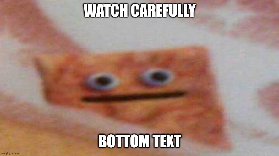 lessons at school | WATCH CAREFULLY; BOTTOM TEXT | image tagged in cracker | made w/ Imgflip meme maker
