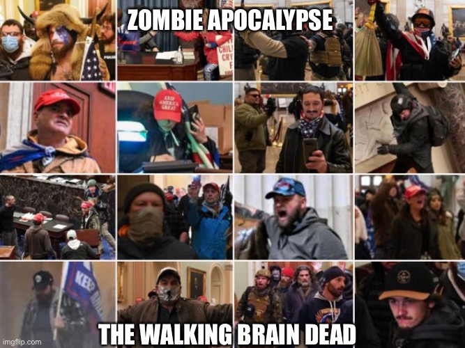 DC Insurrectionists 4 | ZOMBIE APOCALYPSE THE WALKING BRAIN DEAD | image tagged in dc insurrectionists 4 | made w/ Imgflip meme maker