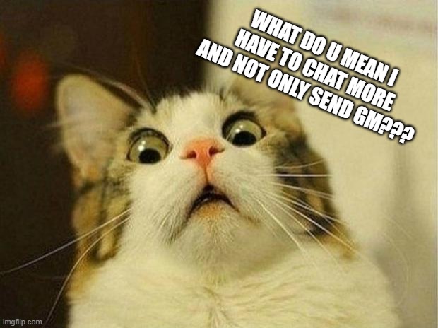 Scared Cat | WHAT DO U MEAN I HAVE TO CHAT MORE AND NOT ONLY SEND GM??? | image tagged in memes,scared cat | made w/ Imgflip meme maker