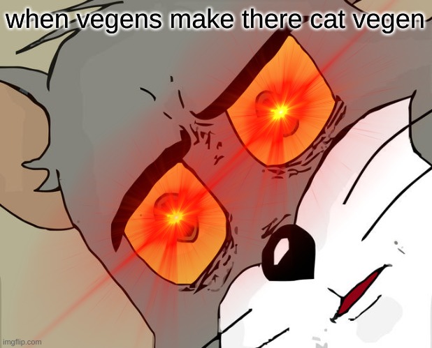 p off tom | when vegens make there cat vegen | image tagged in vegans why | made w/ Imgflip meme maker