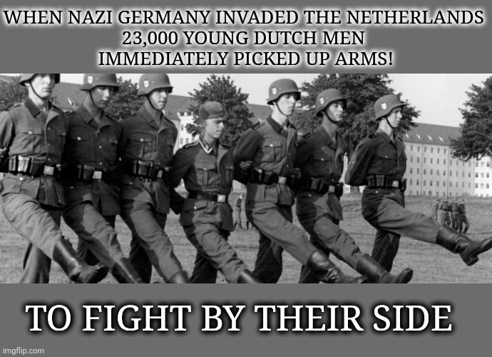 When the nazi's invaded the Netherlands, 23,000 Dutchmen picked up arms | WHEN NAZI GERMANY INVADED THE NETHERLANDS
23,000 YOUNG DUTCH MEN
 IMMEDIATELY PICKED UP ARMS! TO FIGHT BY THEIR SIDE | image tagged in nazis,nazis everywhere,hypocrites,war,invasion,neo-nazis | made w/ Imgflip meme maker