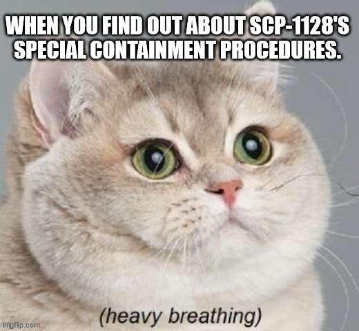 You should panic now | WHEN YOU FIND OUT ABOUT SCP-1128'S SPECIAL CONTAINMENT PROCEDURES. | image tagged in memes,heavy breathing cat,scp meme,scp | made w/ Imgflip meme maker