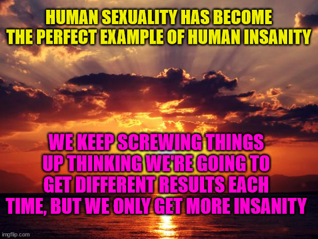 Sunset | HUMAN SEXUALITY HAS BECOME THE PERFECT EXAMPLE OF HUMAN INSANITY; WE KEEP SCREWING THINGS UP THINKING WE'RE GOING TO GET DIFFERENT RESULTS EACH TIME, BUT WE ONLY GET MORE INSANITY | image tagged in sunset | made w/ Imgflip meme maker