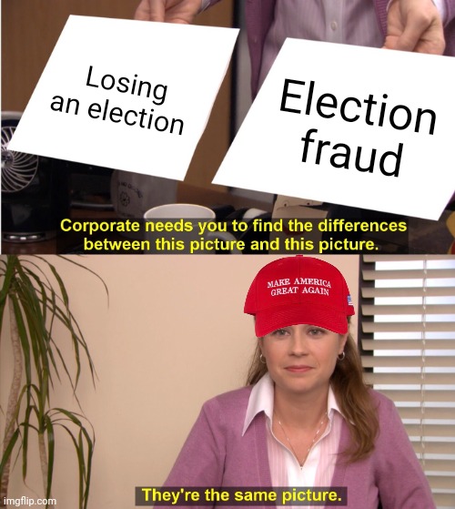 Turns out their "wave" was barely a ripple | Losing an election; Election fraud | image tagged in memes,they're the same picture | made w/ Imgflip meme maker