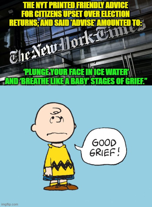 You have to admit that the NYT KNOWS the emotional maturity index of their readership. | THE NYT PRINTED FRIENDLY ADVICE FOR CITIZENS UPSET OVER ELECTION RETURNS; AND SAID 'ADVISE' AMOUNTED TO:; ‘PLUNGE YOUR FACE IN ICE WATER’ AND ‘BREATHE LIKE A BABY’ STAGES OF GRIEF.” | image tagged in advice | made w/ Imgflip meme maker