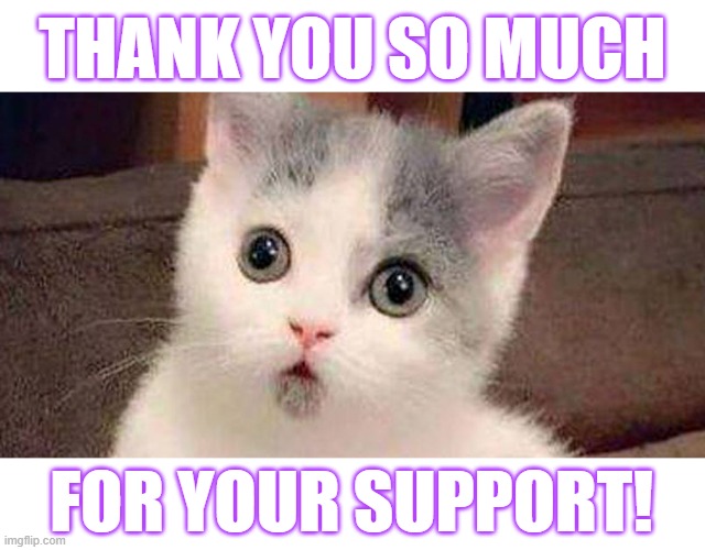 THANK YOU SO MUCH FOR YOUR SUPPORT! | made w/ Imgflip meme maker