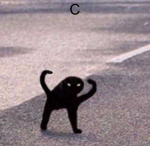 Cursed cat temp | C | image tagged in cursed cat temp | made w/ Imgflip meme maker