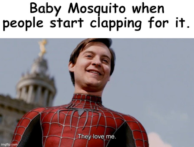 baby baby baby ooooooooh | Baby Mosquito when people start clapping for it. | image tagged in they love me,mosquito | made w/ Imgflip meme maker