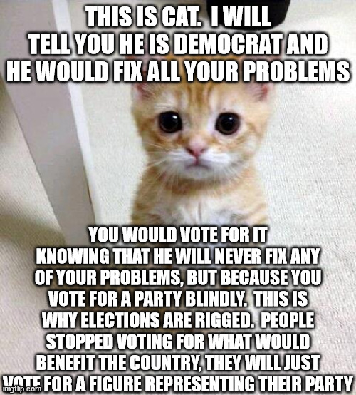 If we learned anything from Pennsylvania is this: | THIS IS CAT.  I WILL TELL YOU HE IS DEMOCRAT AND HE WOULD FIX ALL YOUR PROBLEMS; YOU WOULD VOTE FOR IT KNOWING THAT HE WILL NEVER FIX ANY OF YOUR PROBLEMS, BUT BECAUSE YOU VOTE FOR A PARTY BLINDLY.  THIS IS WHY ELECTIONS ARE RIGGED.  PEOPLE STOPPED VOTING FOR WHAT WOULD BENEFIT THE COUNTRY, THEY WILL JUST VOTE FOR A FIGURE REPRESENTING THEIR PARTY | image tagged in memes,cute cat | made w/ Imgflip meme maker