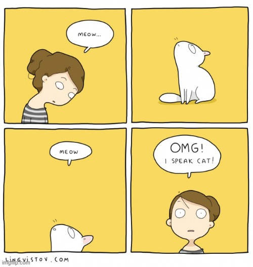 A Cat Lady's Way Of Thinking | image tagged in memes,comics,cats,cat lady,cat,talk | made w/ Imgflip meme maker