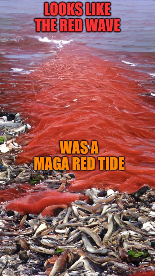 Republican Red Tide: Trump endorsed candidates | LOOKS LIKE THE RED WAVE WAS A MAGA RED TIDE | image tagged in republican red tide trump endorsed candidates | made w/ Imgflip meme maker