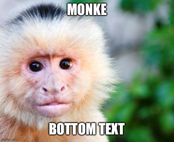 Monke | MONKE; BOTTOM TEXT | image tagged in unfunny,monke,funny | made w/ Imgflip meme maker