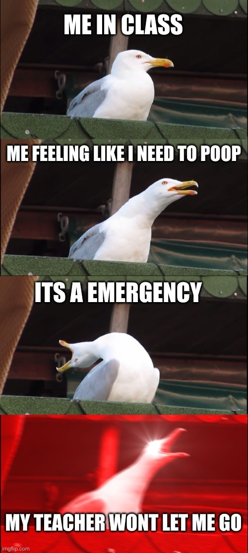 Inhaling Seagull | ME IN CLASS; ME FEELING LIKE I NEED TO POOP; ITS A EMERGENCY; MY TEACHER WONT LET ME GO | image tagged in memes,inhaling seagull | made w/ Imgflip meme maker