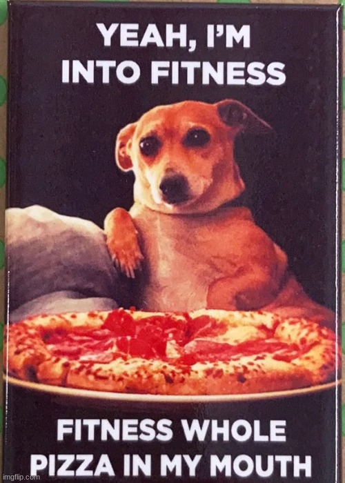 Yeah im into fitness | image tagged in fitness whole pizza in my mouth,dog,pizza,lol,so true memes,funny | made w/ Imgflip meme maker