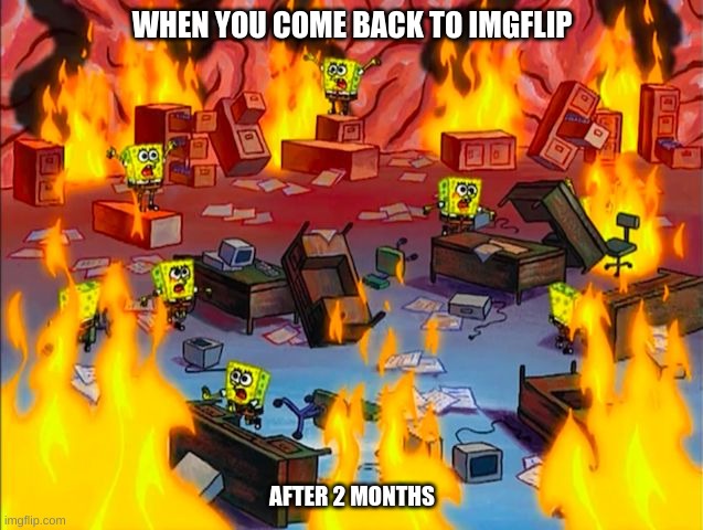 Yeah | WHEN YOU COME BACK TO IMGFLIP; AFTER 2 MONTHS | image tagged in spongebob brain chaos | made w/ Imgflip meme maker