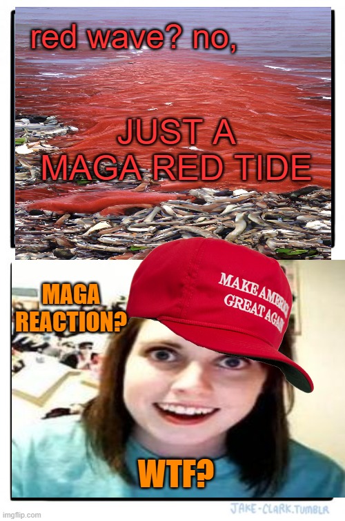 The little Red wave that couldn't | red wave? no, JUST A MAGA RED TIDE; MAGA REACTION? WTF? | image tagged in maga,donald trump,political meme,midterms,wtf | made w/ Imgflip meme maker