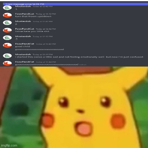 Surprised Pikachu Meme | image tagged in memes,surprised pikachu | made w/ Imgflip meme maker