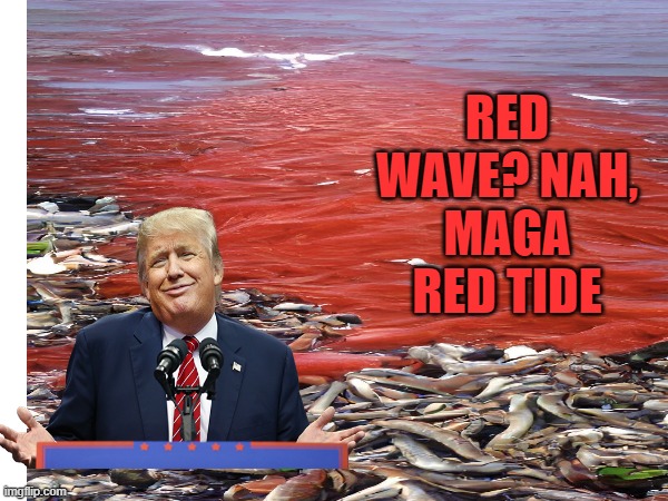 Red wave becomes Red Tide for Trumps MAGA | RED WAVE? NAH,
MAGA RED TIDE | image tagged in maga,donald trump,political meme,midterms,losers | made w/ Imgflip meme maker