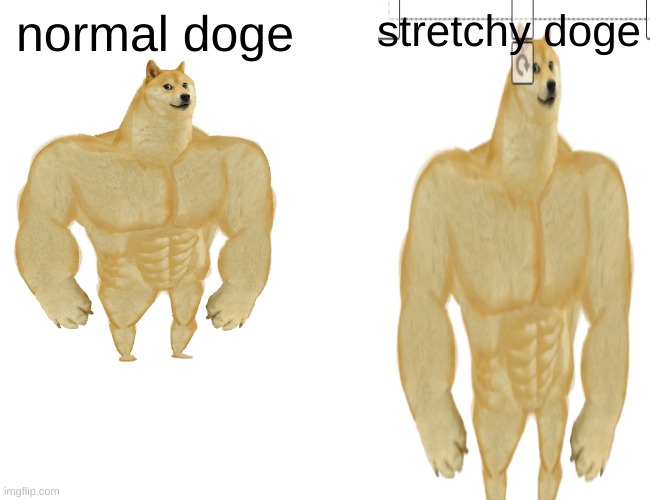 stretch | normal doge; stretchy doge | image tagged in memes,buff doge vs cheems | made w/ Imgflip meme maker