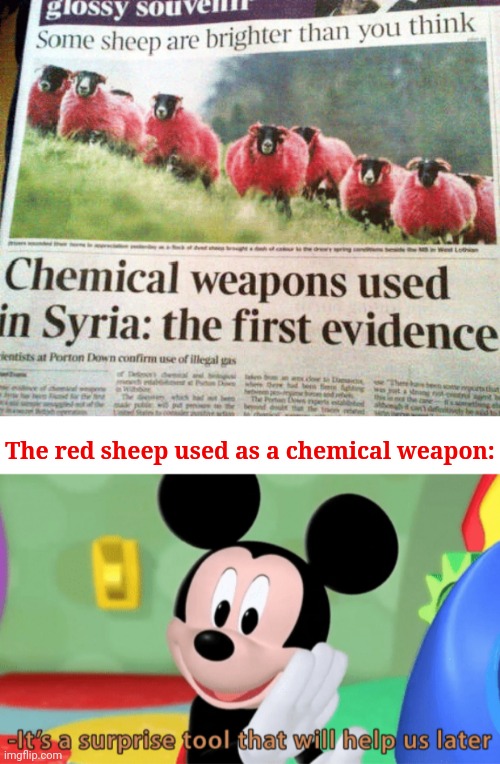 Sheeps | The red sheep used as a chemical weapon: | image tagged in its a suprise tool that will help us later,red,sheep,you had one job,news,memes | made w/ Imgflip meme maker
