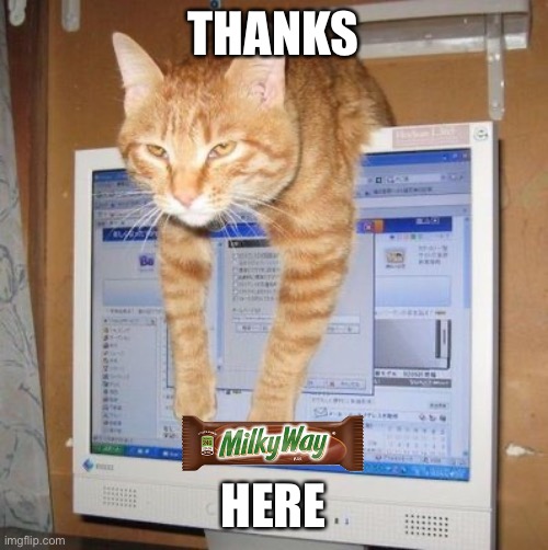 have a candy | THANKS HERE | image tagged in cat thank you | made w/ Imgflip meme maker