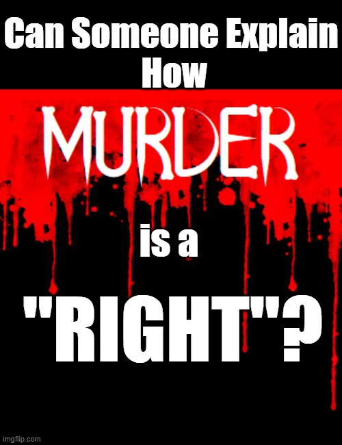Can Someone Explain
 How; is a; "RIGHT"? | image tagged in abortion is murder | made w/ Imgflip meme maker