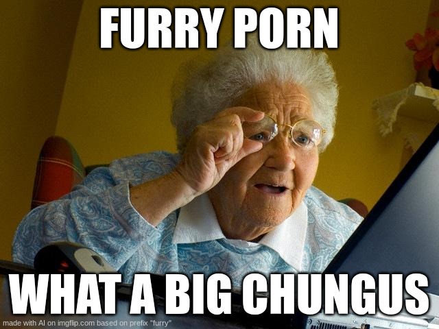 GRANMA NO | FURRY PORN; WHAT A BIG CHUNGUS | image tagged in memes,grandma finds the internet | made w/ Imgflip meme maker