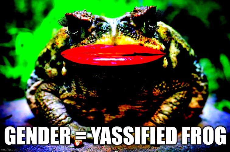 gender frog |  GENDER = YASSIFIED FROG | image tagged in gender,frog,gender frog,yassification,owo | made w/ Imgflip meme maker
