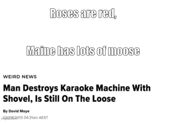 He had to be from florida |  Roses are red, Maine has lots of moose | image tagged in blank white template,roses are red,meanwhile in florida,what,oh wow are you actually reading these tags,stop reading the tags | made w/ Imgflip meme maker