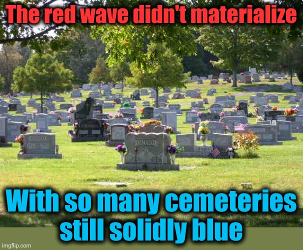Bullshit! | The red wave didn't materialize; With so many cemeteries still solidly blue | image tagged in cemetery,memes,election 2022,red wave,shenanigans,democrats | made w/ Imgflip meme maker