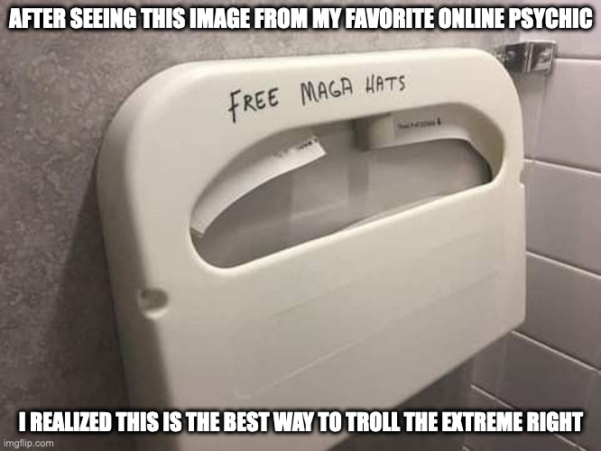 Political Toliet Humor | AFTER SEEING THIS IMAGE FROM MY FAVORITE ONLINE PSYCHIC; I REALIZED THIS IS THE BEST WAY TO TROLL THE EXTREME RIGHT | image tagged in politics,bathroom,memes | made w/ Imgflip meme maker