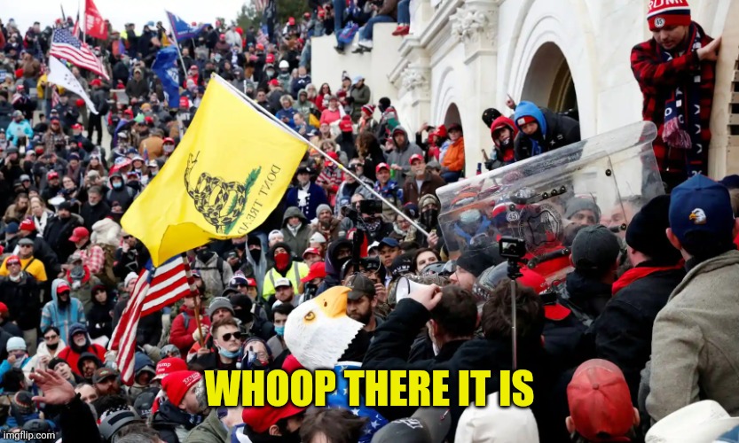 Trump-directed Capitol riot - insurrection and sedition | WHOOP THERE IT IS | image tagged in trump-directed capitol riot - insurrection and sedition | made w/ Imgflip meme maker