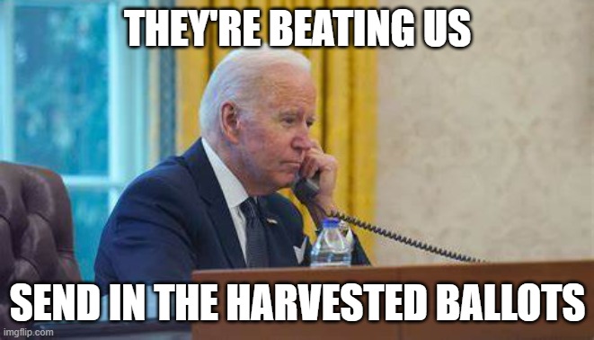 Joe Biden phone call | THEY'RE BEATING US; SEND IN THE HARVESTED BALLOTS | image tagged in joe biden phone call | made w/ Imgflip meme maker