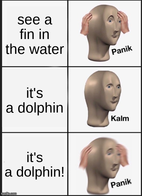 Panik Kalm Panik | see a fin in the water; it's a dolphin; it's a dolphin! | image tagged in memes,panik kalm panik | made w/ Imgflip meme maker