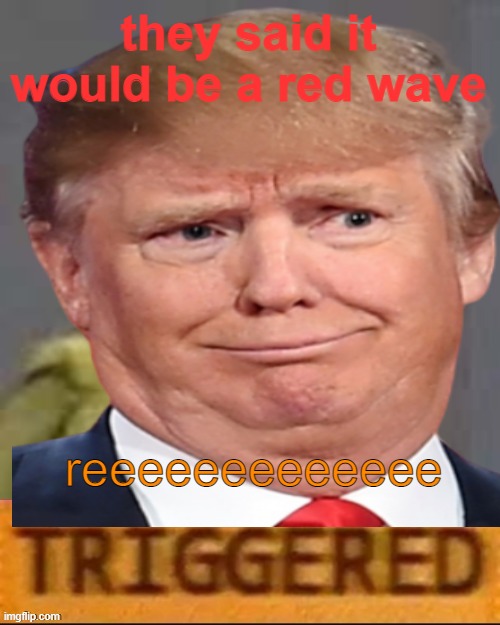 Red wave becomes MAGA Red tide | they said it would be a red wave reeeeeeeeeeeee | image tagged in donald trump,maga,midterms,losers,political meme | made w/ Imgflip meme maker