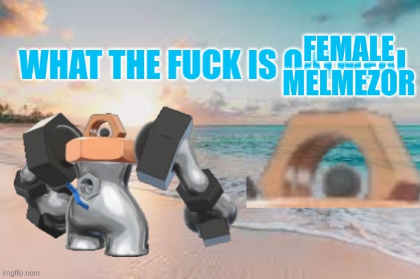 What the fuck is oatmeal Big Chungus | FEMALE MELMEZOR | image tagged in what the fuck is oatmeal big chungus | made w/ Imgflip meme maker