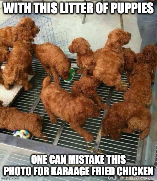 Karaage-Shaped Puppies | WITH THIS LITTER OF PUPPIES; ONE CAN MISTAKE THIS PHOTO FOR KARAAGE FRIED CHICKEN | image tagged in puppy,memes,dogs | made w/ Imgflip meme maker