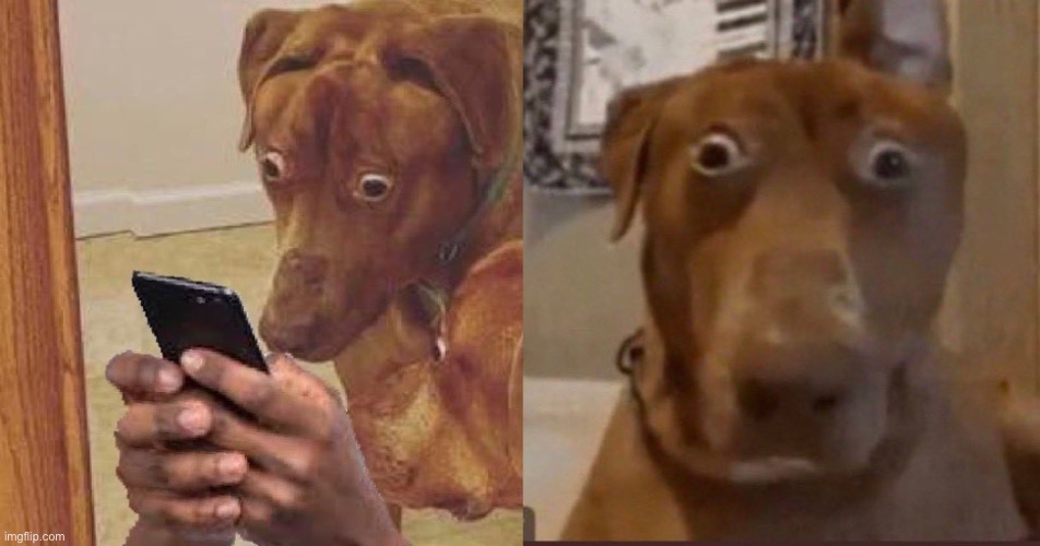 image tagged in scooby doo shocked | made w/ Imgflip meme maker