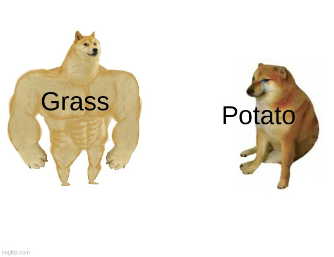 Buff Doge vs. Cheems | Grass; Potato | image tagged in memes,buff doge vs cheems | made w/ Imgflip meme maker