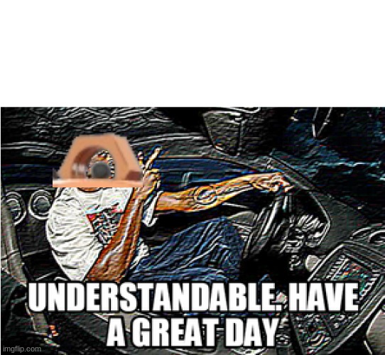 UNDERSTANDABLE, HAVE A GREAT DAY | image tagged in understandable have a great day | made w/ Imgflip meme maker