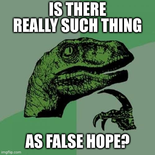 Philosoraptor | IS THERE REALLY SUCH THING; AS FALSE HOPE? | image tagged in memes,philosoraptor | made w/ Imgflip meme maker