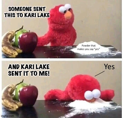 Fun time | SOMEONE SENT THIS TO KARI LAKE; AND KARI LAKE SENT IT TO ME! | image tagged in muppet coke | made w/ Imgflip meme maker