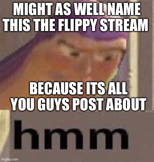 Buzz Lightyear Hmm | MIGHT AS WELL NAME THIS THE FLIPPY STREAM; BECAUSE ITS ALL YOU GUYS POST ABOUT | image tagged in buzz lightyear hmm | made w/ Imgflip meme maker