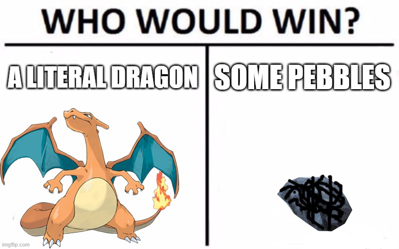 Who Would Win? | A LITERAL DRAGON; SOME PEBBLES | image tagged in memes,who would win | made w/ Imgflip meme maker