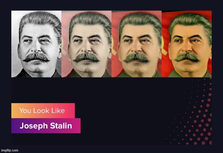 . | image tagged in stalin looks like stalin | made w/ Imgflip meme maker