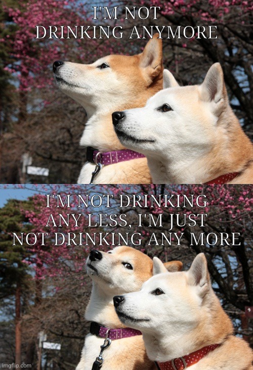 Not drinking anymore | I'M NOT DRINKING ANYMORE; I'M NOT DRINKING ANY LESS, I'M JUST NOT DRINKING ANY MORE | image tagged in bad pun dogs | made w/ Imgflip meme maker