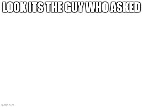 LOOK ITS THE GUY WHO ASKED | image tagged in memes | made w/ Imgflip meme maker