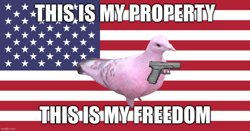 Yes, this is a pink pigeon with a gun. |  THIS IS MY PROPERTY; THIS IS MY FREEDOM | image tagged in guns,glock,usa,freedom,property | made w/ Imgflip meme maker