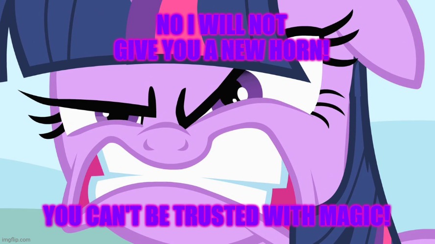 ANGRY Twilight | NO I WILL NOT GIVE YOU A NEW HORN! YOU CAN'T BE TRUSTED WITH MAGIC! | image tagged in angry twilight | made w/ Imgflip meme maker